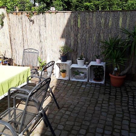 Ferienwohnung Auf Dem Land Rochlitz Dış mekan fotoğraf