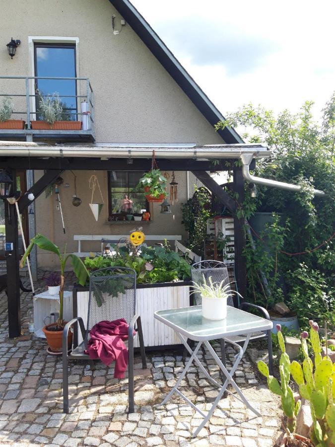 Ferienwohnung Auf Dem Land Rochlitz Dış mekan fotoğraf