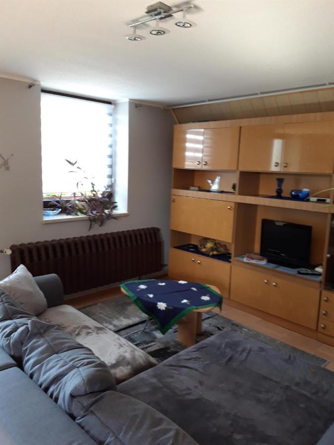 Ferienwohnung Auf Dem Land Rochlitz Dış mekan fotoğraf