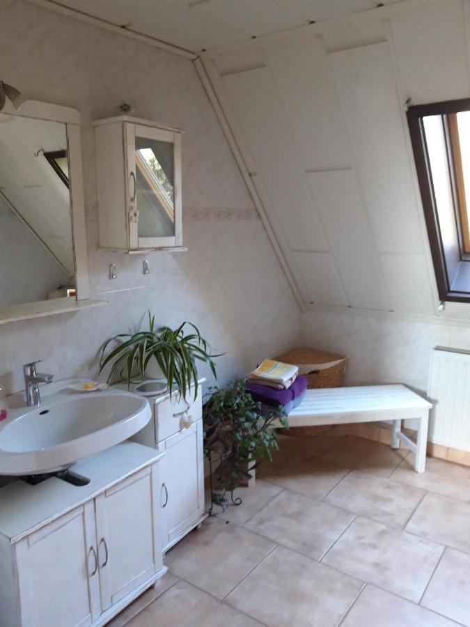 Ferienwohnung Auf Dem Land Rochlitz Dış mekan fotoğraf
